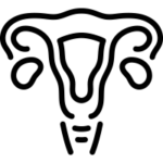 gynecology icon