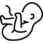 obstetrics icon